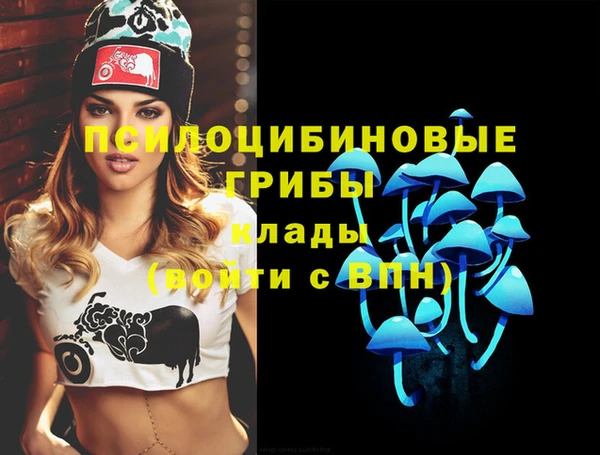 гидропоника Аркадак