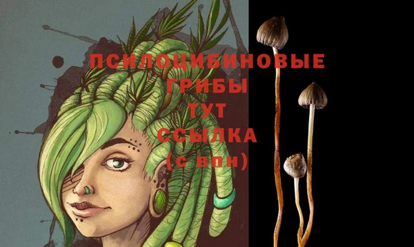 гидропоника Аркадак