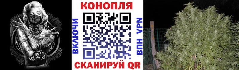 Канабис LSD WEED  сайты даркнета телеграм  Кувшиново 